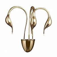 бра lightstar cigno collo 751632 в Курске