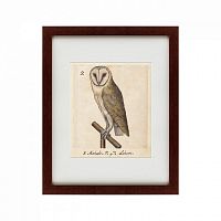 картина: one owl, 1560 в Курске