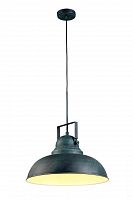 подвесной светильник arte lamp martin a5213sp-1bg в Курске