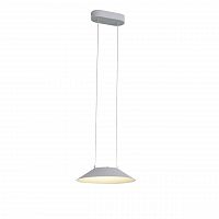 подвесной светодиодный светильник st luce pitto sl427.503.01 в Курске