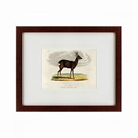 картина: a roebuck, 1830 в Курске