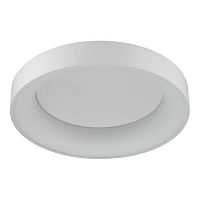 потолочный светодиодный светильник odeon light sole 4062/40cl в Курске