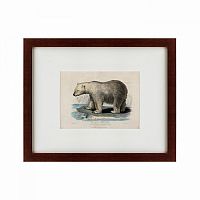 картина: white polar bear on an ice, 1830 в Курске