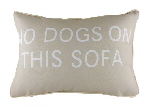подушка с надписью no dogs on this sofa в Курске