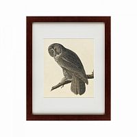 картина: great gray owl, 1834 в Курске