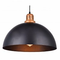 подвесной светильник arte lamp eurica a4249sp-1bk в Курске