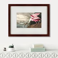 картина: roseate spoonbill, 1827 в Курске
