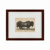 картина: bison, 1828 в Курске