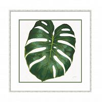 постер monstera зеленый в Курске