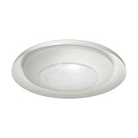 потолочный светодиодный светильник odeon light benso 4623/48cl в Курске