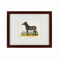 картина: a zebra, 1830 в Курске