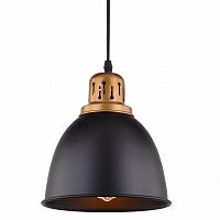 подвесной светильник arte lamp eurica a4245sp-1bk в Курске