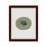 картина: spider, 1690 в Курске