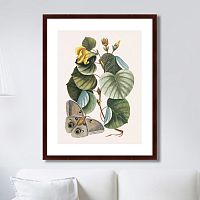 картина: beauty bloom №3, 1732г. в Курске