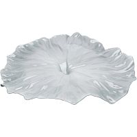блюдо a lotus leaf белое в Курске