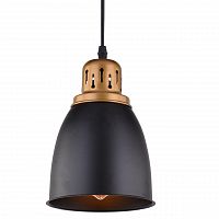 подвесной светильник arte lamp eurica a4248sp-1bk в Курске