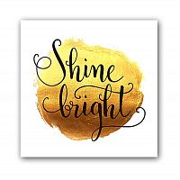 постер shine а3 в Курске