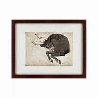 картина: signs of zodiac taurus, 1825 в Курске