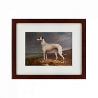 картина: portrait of a greyhound, 1744 в Курске