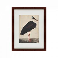 картина: black stork in a landscape, индия, 1780 в Курске