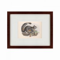 картина: the squirrel, 1879 в Курске