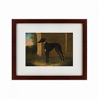 картина: portrait of a greyhound called pompon, 1746 в Курске