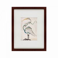 картина: heron encircled by a snake, 1700 в Курске