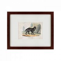 картина: a caracal or lynx, 1830 в Курске