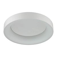 потолочный светодиодный светильник odeon light sole 4062/50cl в Курске