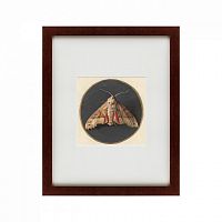 картина: owlet moth, 1700 в Курске